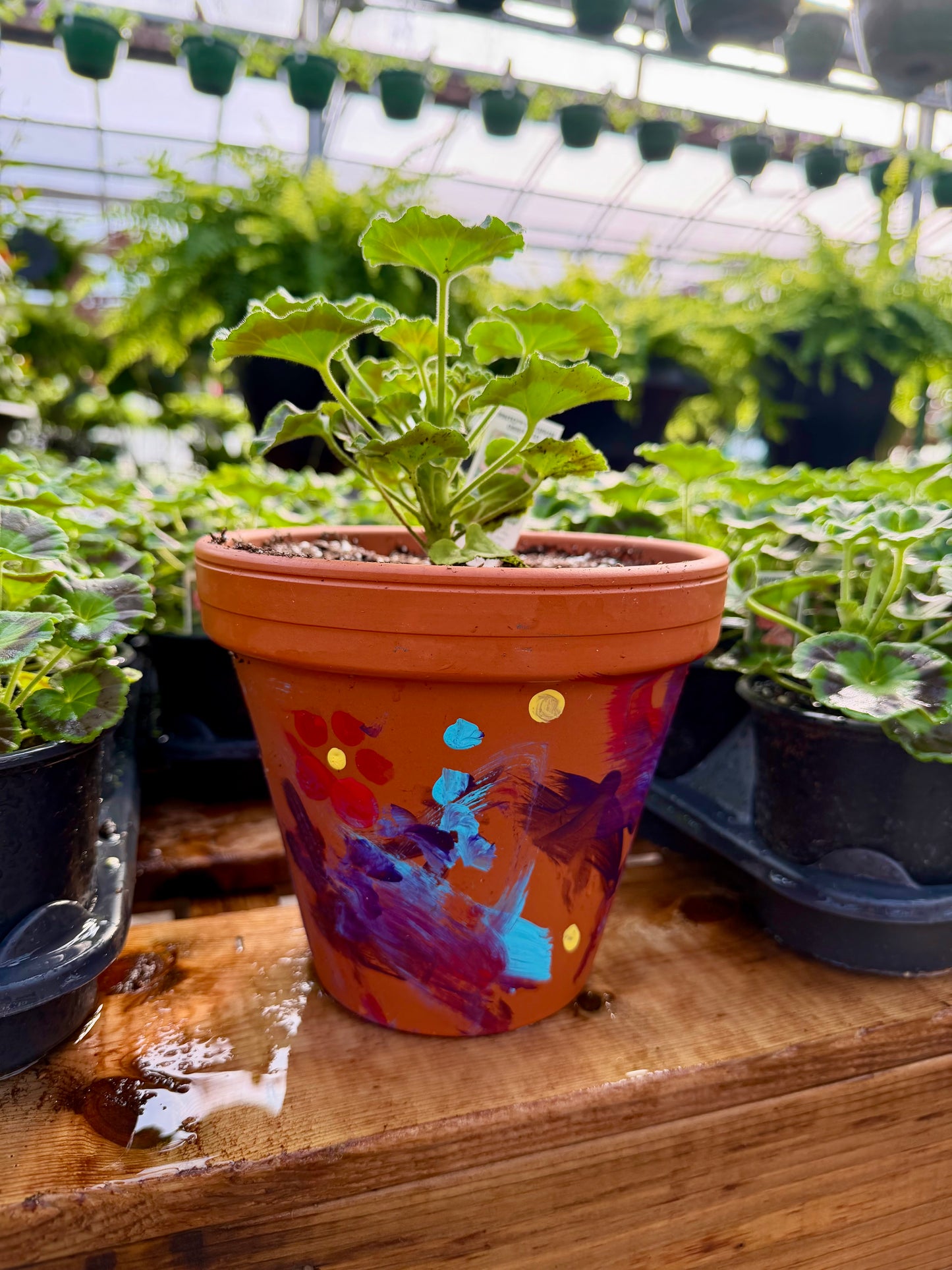 Kid's Paint a Pot Workshop (Sunday, June 14, 2026)
