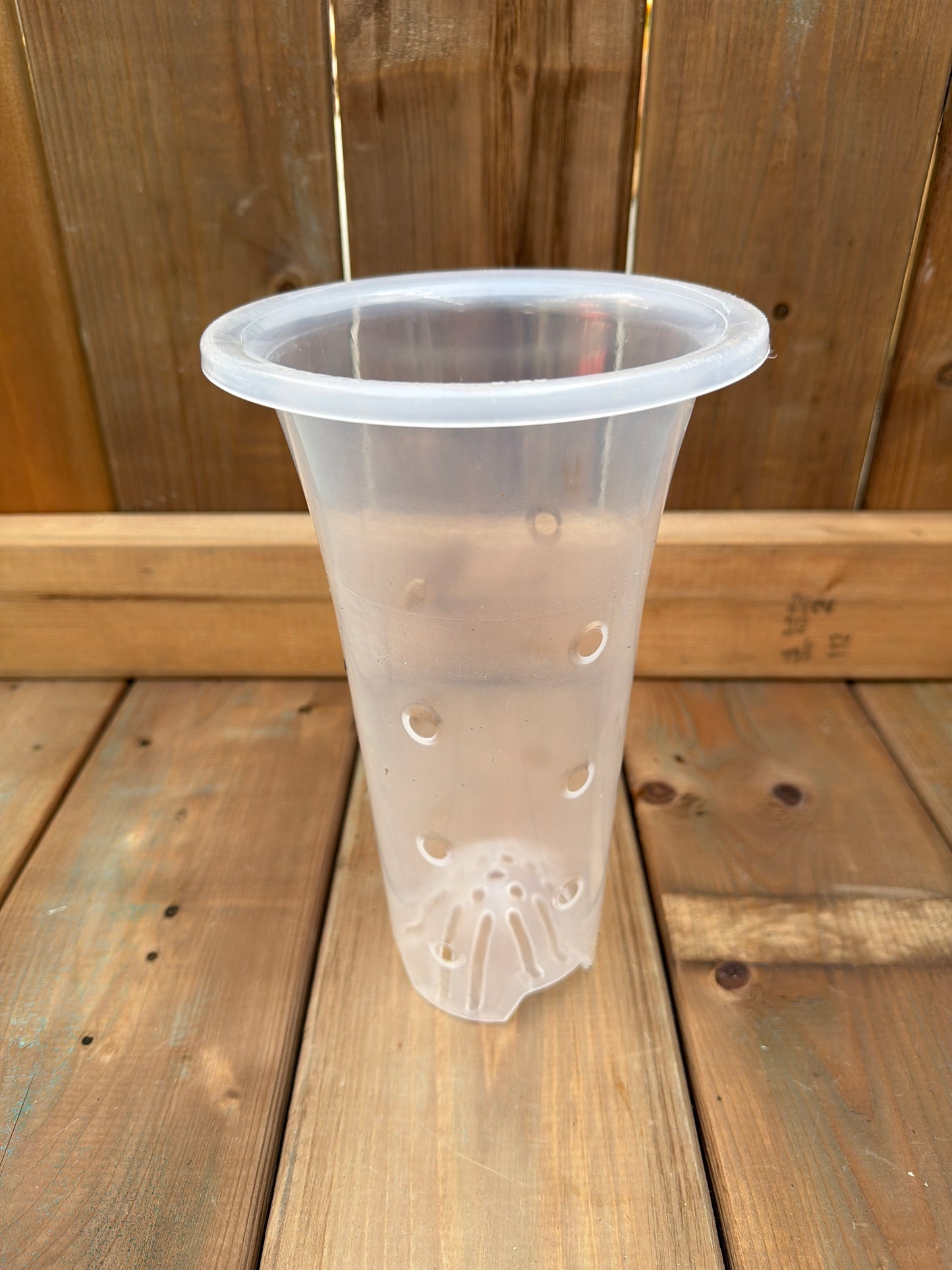 6" Tall Cymbidium Orchid Pot (Clear)