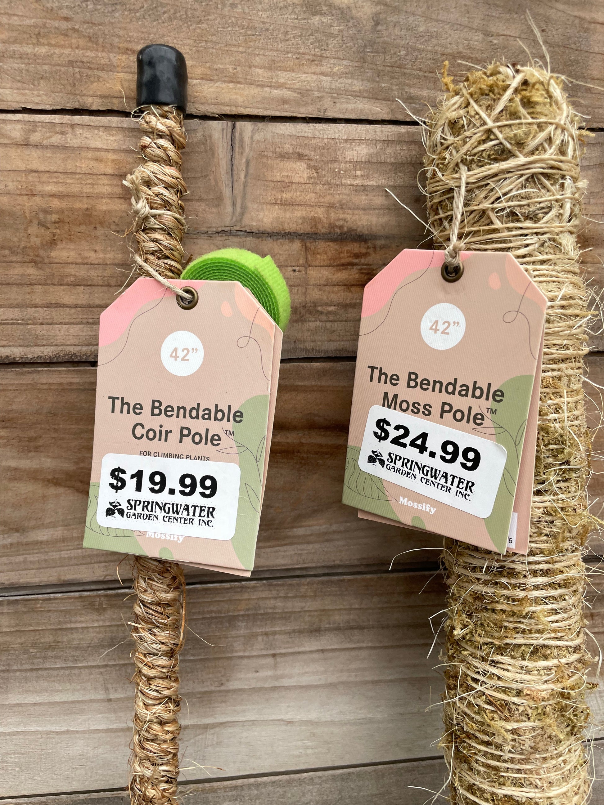 coir pole vs moss pole Mossify Bendable Poles (Moss/Coco Coir) – Springwater Garden Center