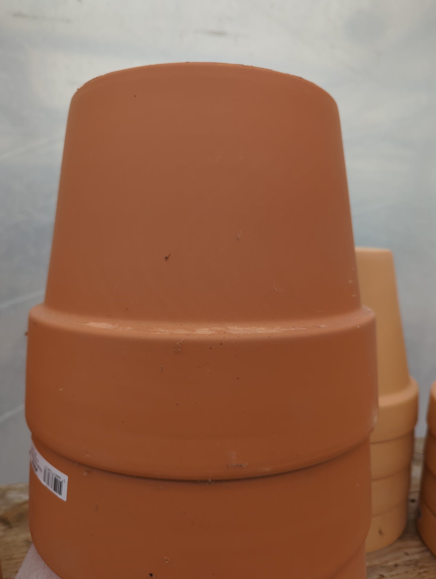 11" terracotta pot